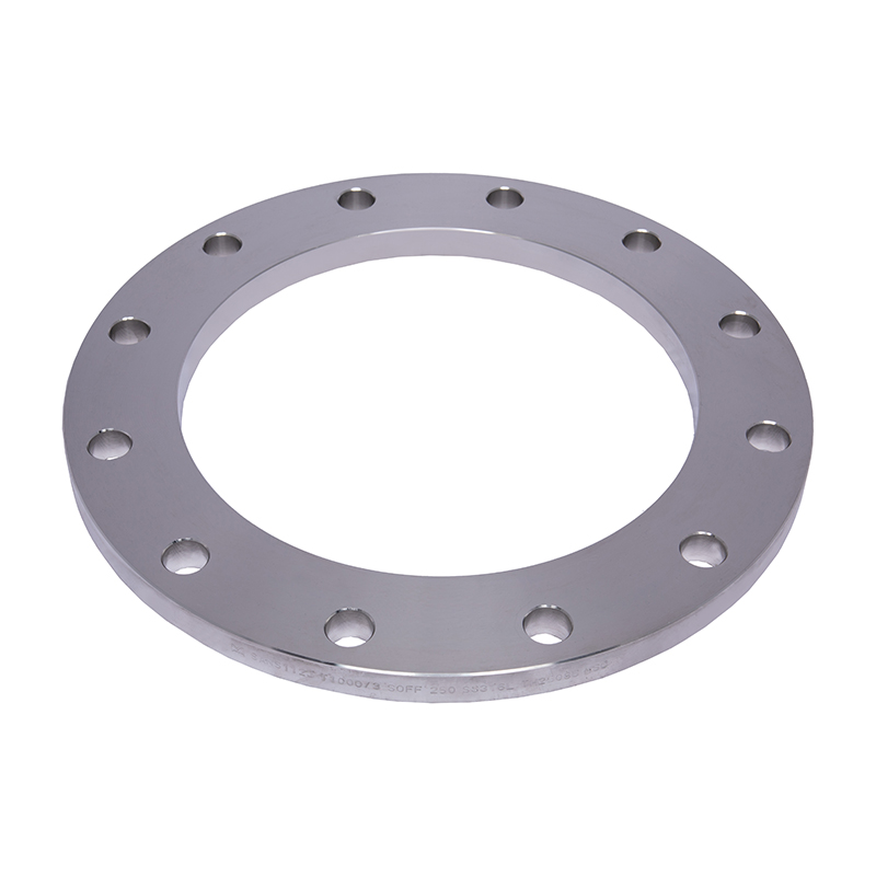 316L Stainless Steel Flanges