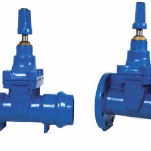 RSV RESILIENT WEDGE GATE VALVE