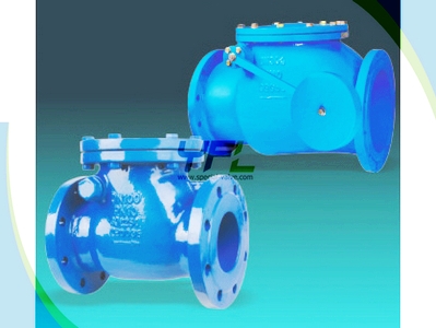 CAST IRON SWING CHECK VALVE FIG