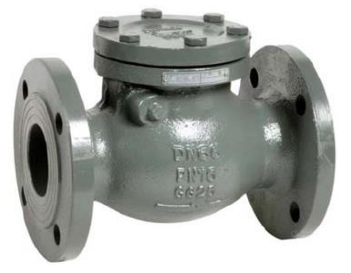 CAST IRON SWING CHECK VALVE FIG - Image 2