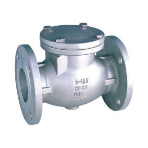 CLASS 150 SWING CHECK VALVE
