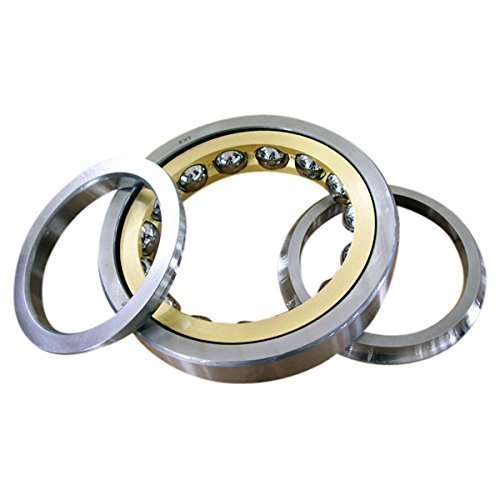 Four Point Ball Bearing